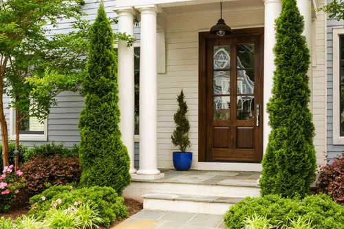 Landscaping with tall evergreen shrubs